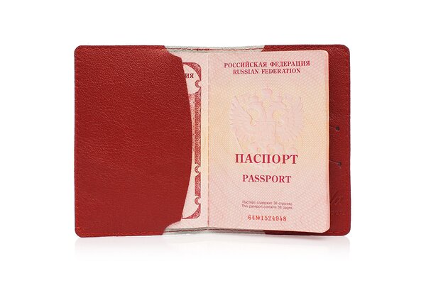 Eshemoda Обложка на паспорт 103506 Обложка на паспорт "Копенгаген" 