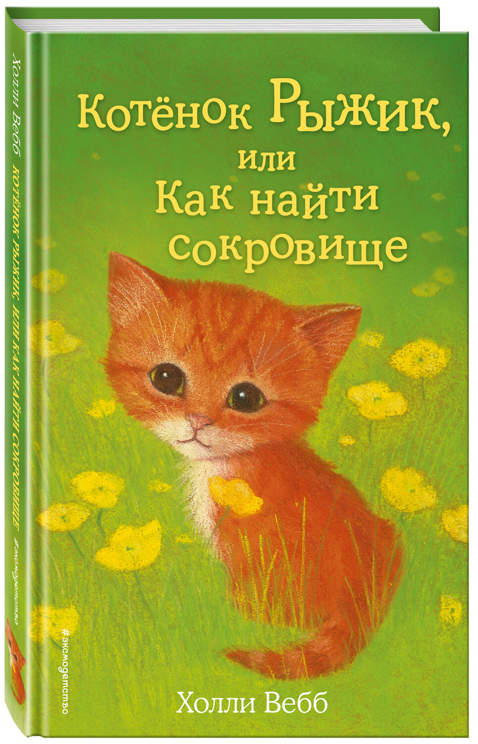 Холли Вебб котенок Рыжик. Книги Холли Вебб Рыжик. Холли Вебб котенок. Книги Холли Вебб котенок Рыжик. Написал рыжика