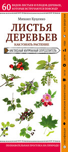 Эксмо Михаил Куценко "Листья деревьев. Как узнать растение" 346380 978-5-04-111886-0 