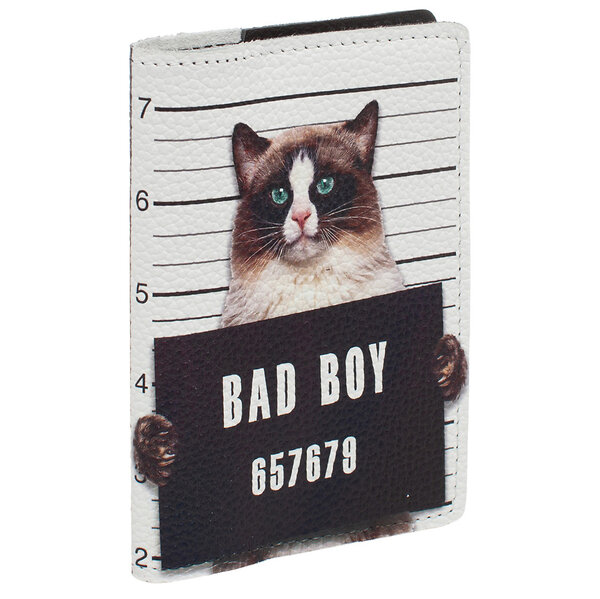 Eshemoda Обложка на паспорт 58837 "Bad boy" 