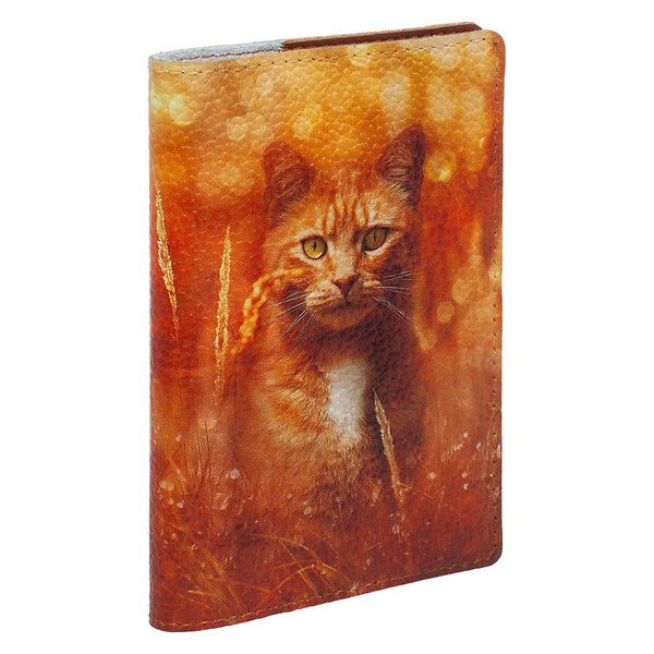 Eshemoda Обложка на паспорт 100393 "Рыжий кот" 