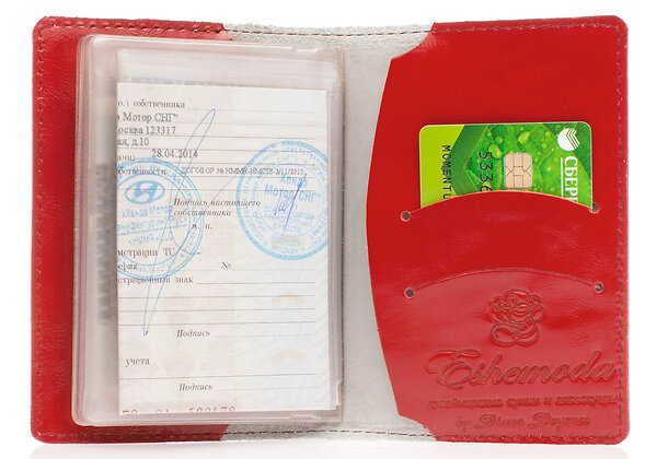 Eshemoda Обложка на паспорт 12473 "Платьице с бабочкой" 